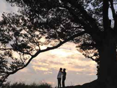 성흥산 사랑나무 아래 커플이 서있는 모습